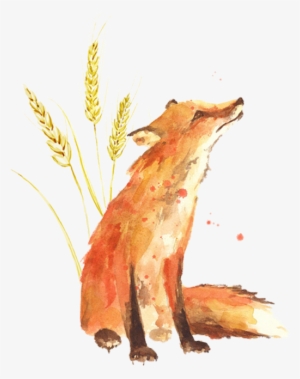 Little Prince Fox Wheat #81325 Little Prince Fox Wheat #81325