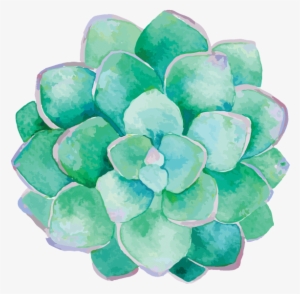 Cultivate Classes Lessons Lehigh - Watercolor Succulent Png #81423