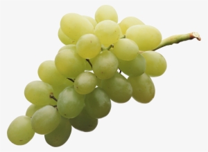 Green Grape Png Image - Grapes Png #81472
