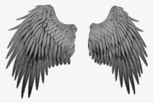 Black Angel Wings By Marioara - Paris #81638 Black Angel Wings By Marioara - Paris #81638