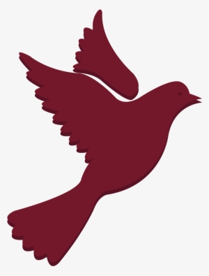 Dove-04 - Espejo De Pared #81640