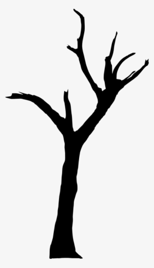 Free Png Dead Tree Silhouette Png Images Transparent - Deadvlei #81998 Free Png Dead Tree Silhouette Png Images Transparent - Deadvlei #81998