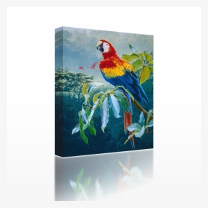 Parrot On A Branch #82190