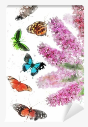 Watercolor Image Of Butterfly Bush Wall Mural • Pixers® - Watercolor Painting #82320