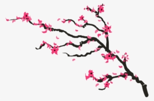 Drawn Cherry Blossom Transparent - Cherry Blossom Drawing Png #82670
