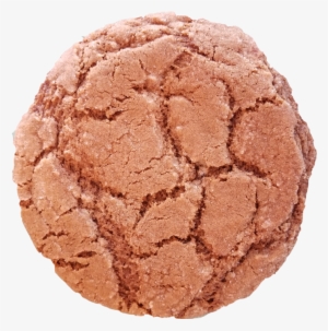 Gingersnap - Ginger Nut #82906
