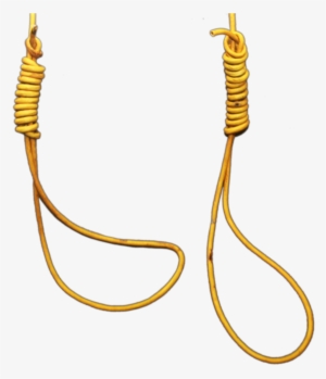 The University Of South Alabama's President Says A - Weapon #83064