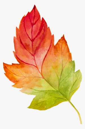 This Graphics Is Hand Painted Watercolor Gradient Leaves - Vector Graphics #83296 This Graphics Is Hand Painted Watercolor Gradient Leaves - Vector Graphics #83296