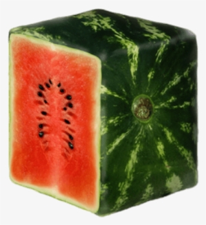 Sliced Square Watermelon Png - Square Watermelon #83555