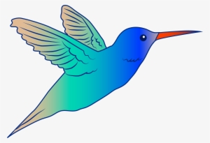Cute Parrot Clipart Flying Bird Hummingbird Illustration - Hummingbird Drawing Clip Art #83585