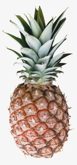 Pineapple Png Image, Free Download - Pineapple Png #83893