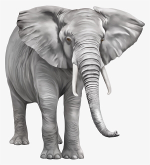 Elephant Large Png Clipart #84195