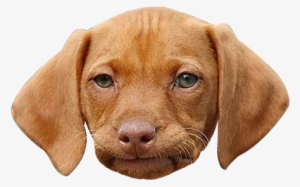 It's Just One Of Them Meme #84321