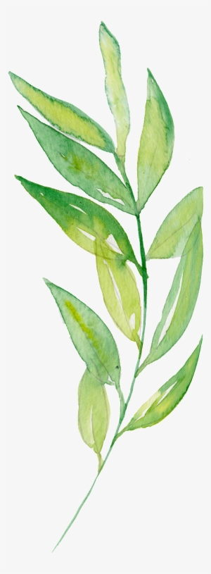 Hand Painted Bamboo Leaves And Branches - صور اوراق شجر مرسومة #84504