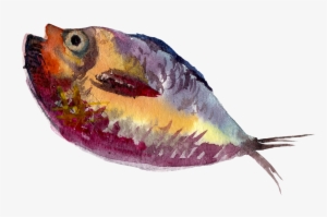 Vector Freeuse Library Painting Illustration Water - Fish Painting Png #84505