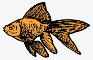 Goldfish - Goldfish Clip Art #85132