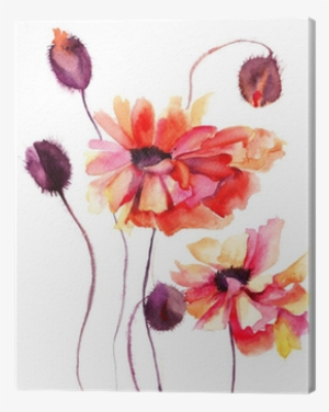 Beautiful Poppy Flowers, Watercolor Painting Canvas - Let Go Of What Makes You Sad #85282