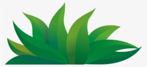 Green Cartoon Drawing - Grass Cartoon Png #85541