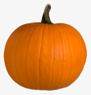 Hq Pumpkin Png Transparent Pumpkin - Pumpkin Png #85647