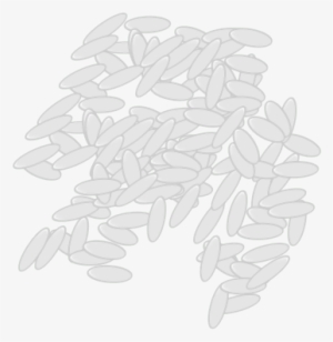 Rice - Sketch #85724