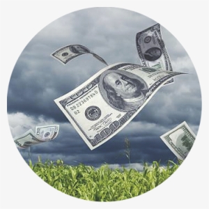 The Money Magnet Exercise - Entrepreneurs Guide To Business #86045