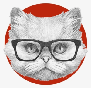 Cat Grooming Regina3 - Gato Persa Con Gafas #86265