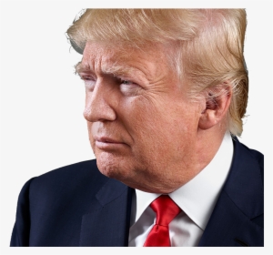 Donald Trump Png Image - Donald Trump Grey Background #86335