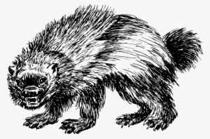 Wolverine Png #86372
