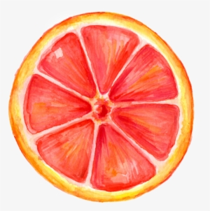 Icecream Watercoloe Grapefruit Portfolio #86616