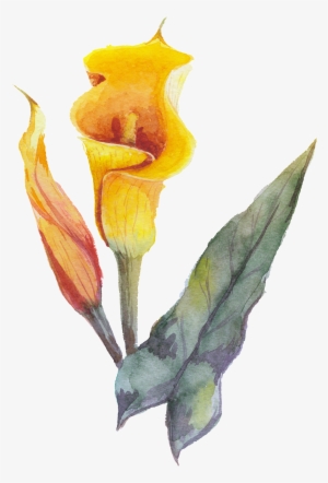 Yellow Flower #86904