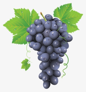 Une Grappe De Raisin #86950