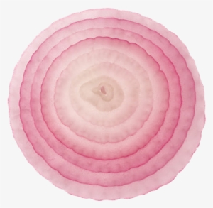 Onion Slice Png File - Onion Slice Png #87047