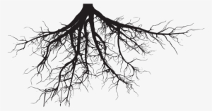 Soil And Roots Png Clipart Black And White Download - Tree Roots Silhouette Png #87111