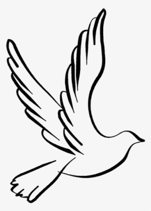White Dove Clipart Dove Open Wing - Dove Line Drawing #87165 White Dove Clipart Dove Open Wing - Dove Line Drawing #87165