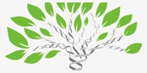 Have A Dna Test Or, Maybe Not - Dna Barcoding In Plant #87239