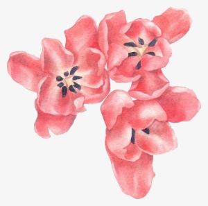 My Story - Eleven #87402