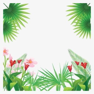 Tropical Leaves Png Images - Tropical Frame Png #87433