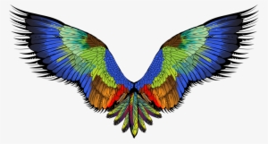 Angel Wings Png - She Flies She Flies Square Sticker 3" X 3" #87453