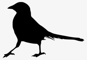 Free Download - Bird Silhouette Transparent Background #87870