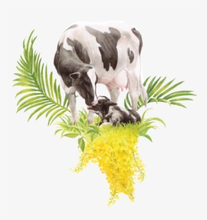 Hatsun Agro Products Ltd #88096