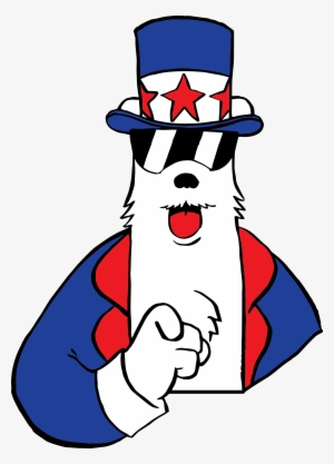 Jax Bear Uncle Sam - Jacksonville #88235
