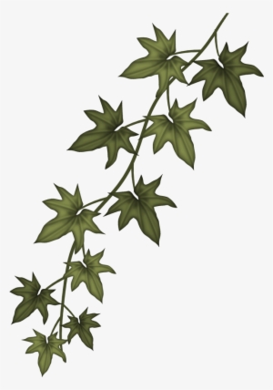 Ivy Clip Art Free - Sizzix Garden Greens Thinlits Dies #88329