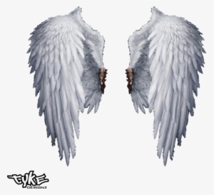 Angel Wings Png Transparent - Real White Angel Wings Png #88614