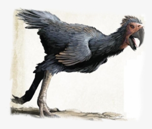 As The Paladin And Rogue Make Their Way To Glassmoor, - Axe Beak Dungeons And Dragons #88811