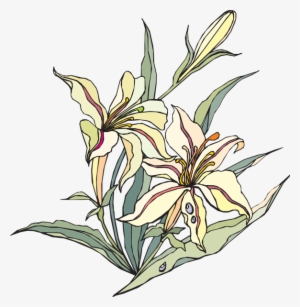 Lily Of The Valley Clipart Watercolor Lily - Clip Art #88994