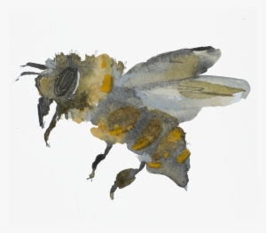 Welcome To A Continuing Conversation - Pipevine Swallowtail #89291