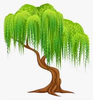Tree Clipart - Weeping Willow Tree Clipart #89360
