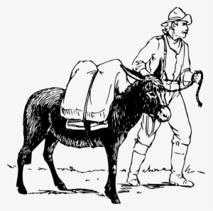 Donkey Derby Days Mule Drawing Watercolor Painting - Donkey And Man Drawing #89519