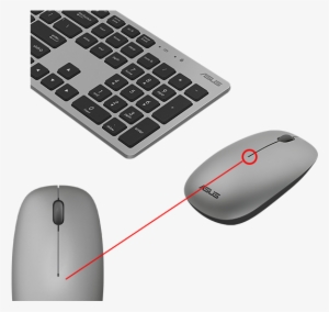 And When You're Done, The Usb Dongle Can Be Safely - Asus W5000 Wireless Keyboard #800185