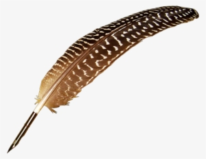 Picture Suggestion For Quill Pen Png - Umbrella #800434